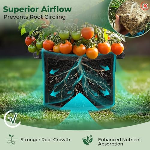 T4U Fabric Plant Grow Bags with Handle 7 Gallon Pack of 5, Heavy Duty Nonwoven Smart Garden Pot Thickened Aeration Nursery Container Black for Outdoor Potato, Tomato, Chili, Carrot and Vegetables - size: 7 Gallon-5 Packs