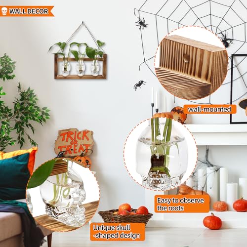 Plant Terrarium Propagation Stations Skull Planter Vase Skulls Decor - color: Transparent