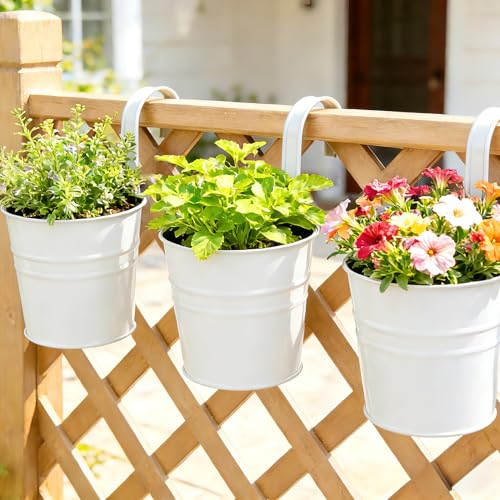 KINGLAKE Flower Pots,10 Pcs Metal Iron Hanging Flower Plant Pot Balcony Garden Plant Planter Baskets Fence Bucket Pots 6.3'' Flower Holders with Detachable Hook White - color: White, size: 6.3 Inch