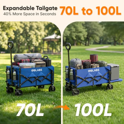 Golabs WA1 Collapsible Folding Wagon Cart, Max 220lb Load, Expands to 100L - color: Wa1 Blue