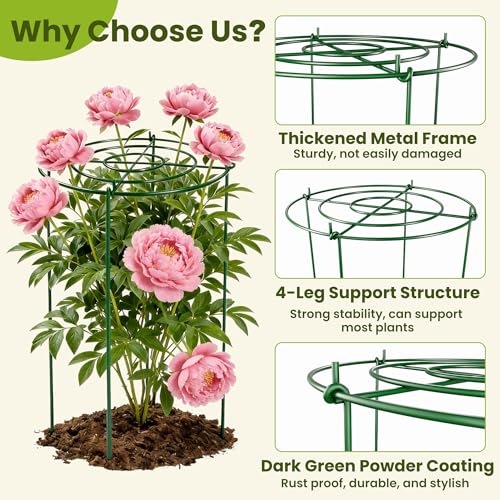 6 Pack Peony Cages and Supports, 12" x 24" Tall Peonies Support Cage