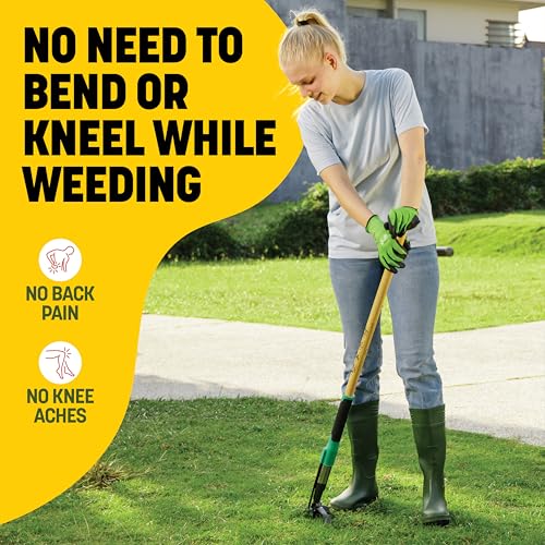 Papa's Tools Weed Puller Tool, 44" Stand Up Weeder Garden Tools & 4 Claw Steel Head, Dual Weed Eject Tech. Made with Real Bamboo & Long Wooden Handle, Yard Weeding Remover for Gardening Men & Women - color: Natural / Green