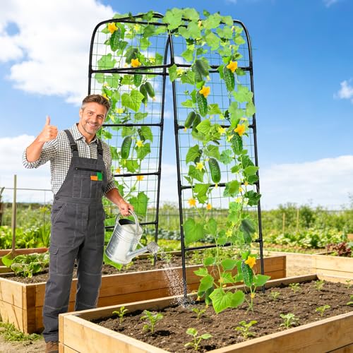 7ft Garden Arch Trellis for Climbing Plants Outdoor-Heavy Duty Metal Cucumber Trellis for Raised Beds- Tall Steel Vegetable Arbor for Climbing Vine Fruit Flower Yard Lawn Arch Tunnel Trellis - size: 32.28 in × 39.37 in × 82.68 in