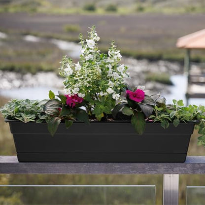 Bloem Dura Cotta 30" Plastic Window Box Planter with Saucer, Black, 3-Pack - color: Black, size: 30" (Pack of 3)