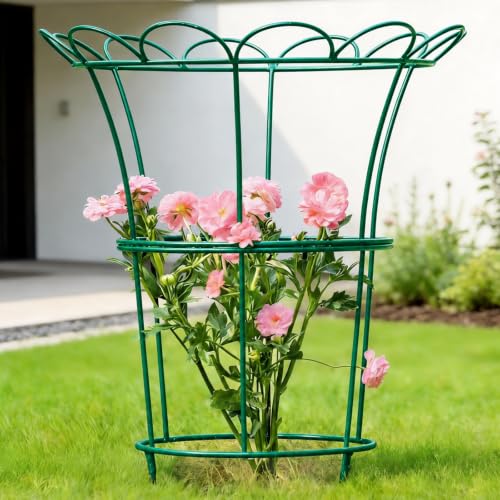 Heavy Duty Peony Cage and Supports - 26" Cast Iron Plant Support - color: Green, size: 25.5"x20"