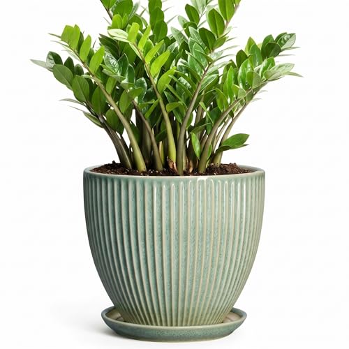 Ceramic Flower Pots, 10 Inch Plant Pot with Saucer, Green - color: Green, size: 10 Inch