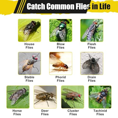 2 Fly Traps Outdoor for Patio with 2 Bait, Reusable Bug Catcher Bottle Jar - size: 2 pack2