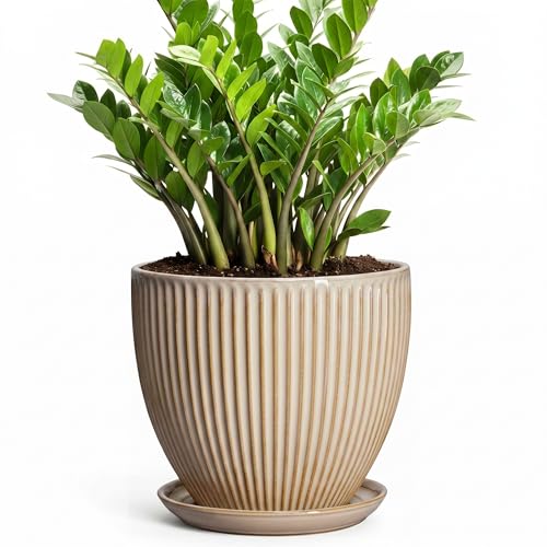 Ceramic Planter, 10 Inch Plant Pot for Large Indoor Plants, Beige - color: Beige, size: 10 Inch