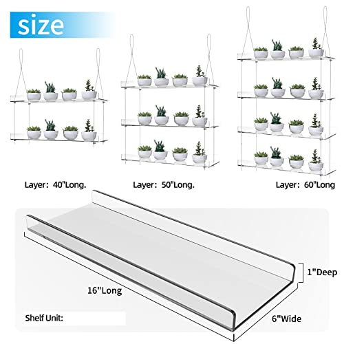 2-Tier Acrylic Window Display Shelves - color: 2 Tier