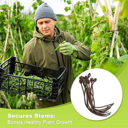 M METERXITY 24-Pack Adjustable Plant Ties, 4.7/5.9/6.7/8.2 Inch Silicone Flexible Multi-Function Garden Twist Tie for Crafts/Gift Wrapping/Gardening Plants, Reusable Support Twine [Brown] - color: Brown