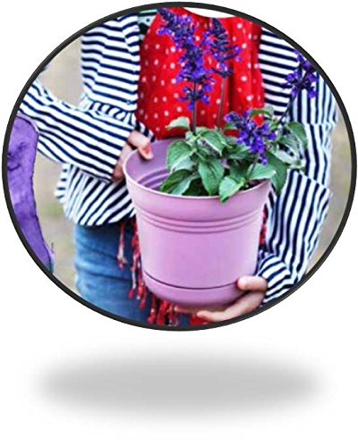 Bloem SP0712 Saturn Planter, 7-Inch, Union Red - color: Union Red, size: 7"