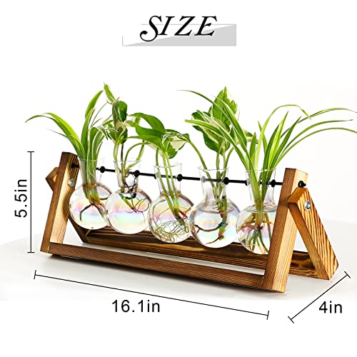XXXFLOWER Plant Terrarium with Wooden Stand Desk Plant 5 Bulb Vase - size: 5 Bulb Vase