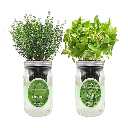 2-Pack Hydroponic Mason Jar Herb Garden Kit, Indoor Herb Garden Self-Watering Starter Kit, New Christmas Gift for Mom (Thyme,Thai Basil)