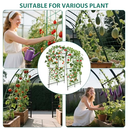 Garvee Metal Garden Arch Trellis, 7.6Ft Black for Raised Beds - size: 7.6x6x3.8 Ft - 7