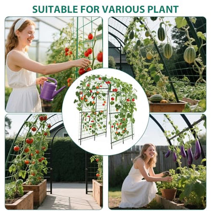 Garvee Metal Garden Arch Trellis, 7.6Ft Black for Raised Beds - size: 7.6x6x3.8 Ft - 7