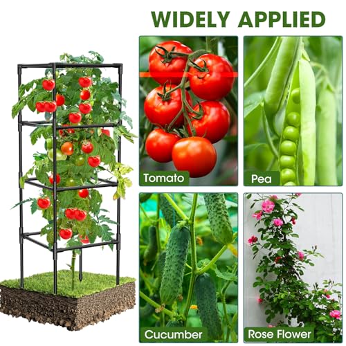 3 Pack Tomato Cages, Square Tomato Plant Stakes Support Cages Trellis for Garden Climbing Vegetables Flowers Fruits,Extra Bold,Black - color: black
