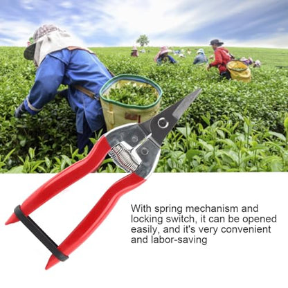 Professional Garden Pruning Shears for Roses and Flowers, Curved Blade Stainless Steel Hand Pruners, Heavy Duty Plant Trimming Scissors for Fruit Harvesting and Flower Arranging