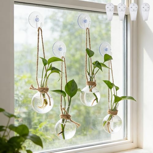 Bunmery 4 PCS Window Propagation Stations, Glass Plant Propagation Bulbs Vases with Suction Cups & Traceless Nails, Easy to Install Window Wall Hanging Planter Terrarium Vase for Home Office Decor