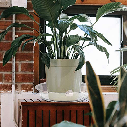Rocutus Plant Saucer,20 Pack Plastic Plant Saucer Drip Trays Small Plant Plate Dish,Heavy Duty Clear Plastic Plant Saucers Flower Pot Tray Flower Pot Drip Pan for Indoor and Outdoor Plants (12 Inch) - size: 12 Inch