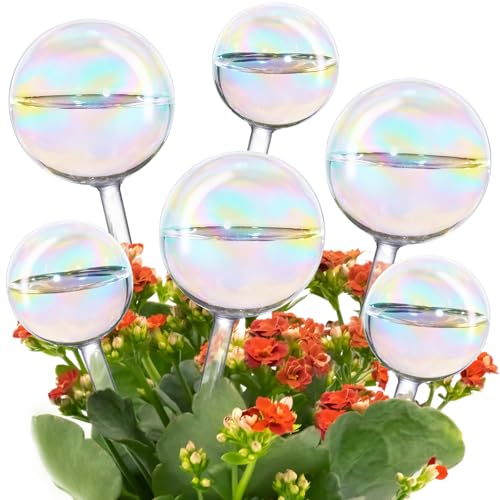 Tomorotec Glass Plant Watering Globes, Self Watering Spikes 3 Large+3 Small - color: Iridescent-3 Large+3 Small
