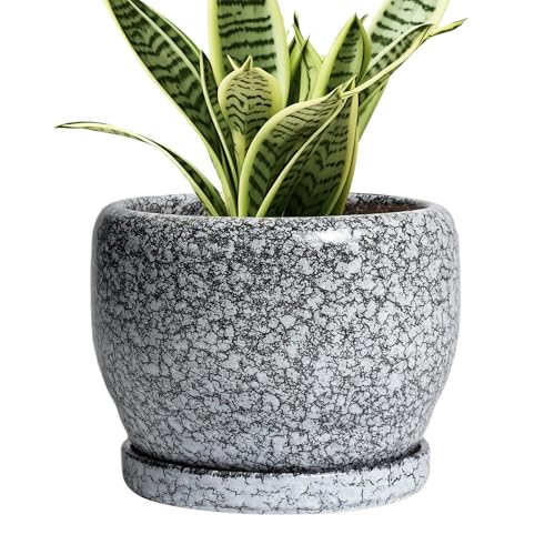 SQOWL Ceramic Pot for Plants - 6 Inch Ceramic Planter for Indoor Outdoor, Decorative Plant Pot with Drainage Hole and Saucer, Round Planter for Flower, Bedroom Decor, Garden Gifts, Black and White - color: Black and White, size: 6 Inch