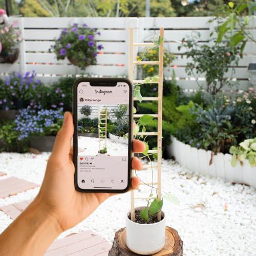 1Pcs Indoor Plant Trellis – Durable Wooden Support for Climbing Plants - size: 25" H