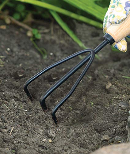 AMES 2446300 Tempered Steel Hand Cultivator with Wood Handle, 11-Inch, Brown - style: Wood Handle Hand Cultivator
