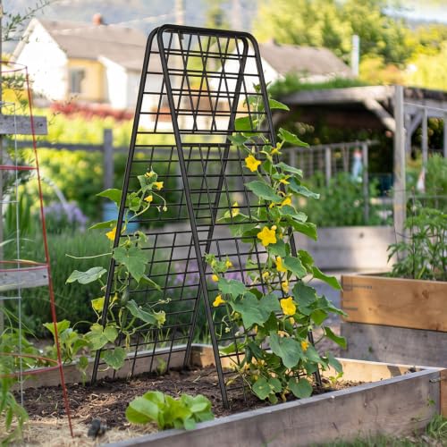 A-Frame Trellis for Climbing Plants Outdoor, 2 Pack Metal Garden Trellis