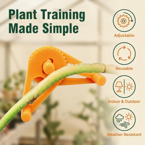 50 Pack Plant Training Clips, Orange Adjustable Low Stress Stem Bending Clips, Plastic Plant Tie Clips for Grow Tent Vegetable Flower Houseplant Cultivation - color: Orange