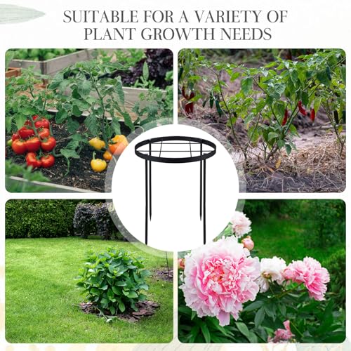 2 Pack 18.9" x 23.6" Large Peony Cage and Support