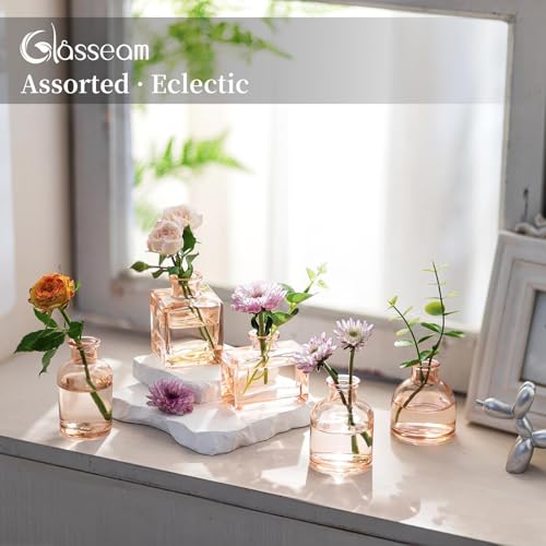 Glasseam Champagne Mini Bud Vases, 5 Pcs Small Glass Vases for Centerpieces - color: Champagne, size: 5Pcs- Mini Vases