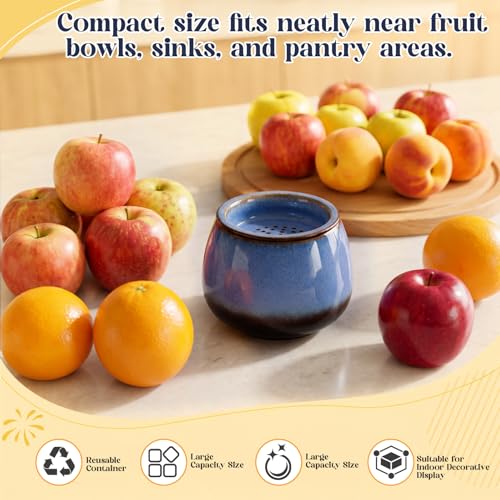 1 Pack Ceramic Fruit Fly Traps Reusable, Reactive Glaze, Cobalt Blue - color: Cobalt Blue, size: Reactive Glaze
