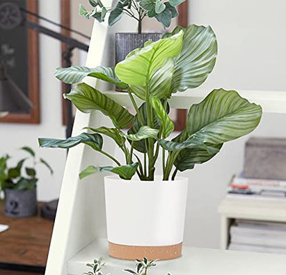 kubvici Indoor Plant Pots Planters 8 inch Plastic Planter (White x 3 Pack) - color: White 3, size: 8 inch