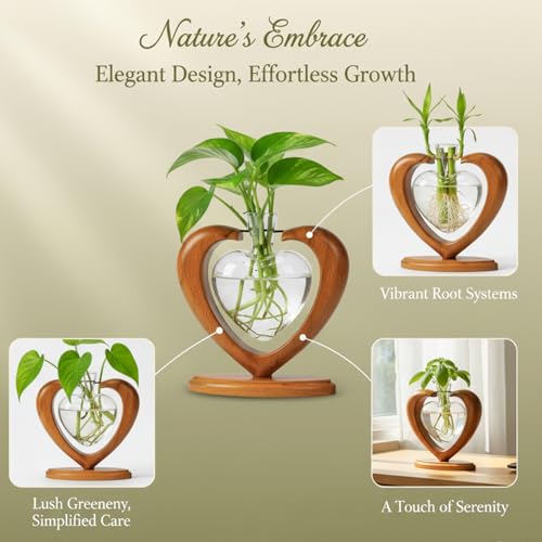 Plant Propagation Station, Heart Glass Vase, Solid Wooden Stand - color: 1 Pack
