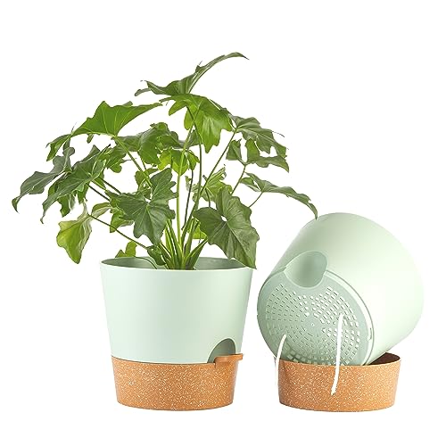 FaithLand 2-Pack 10 Inch Planter Pots for Indoor Outdoor Plants, Self Watering Flower Pots with Deep Reservoir, Green with Terracotta … - color: Green With Terracotta, size: 10 Inch
