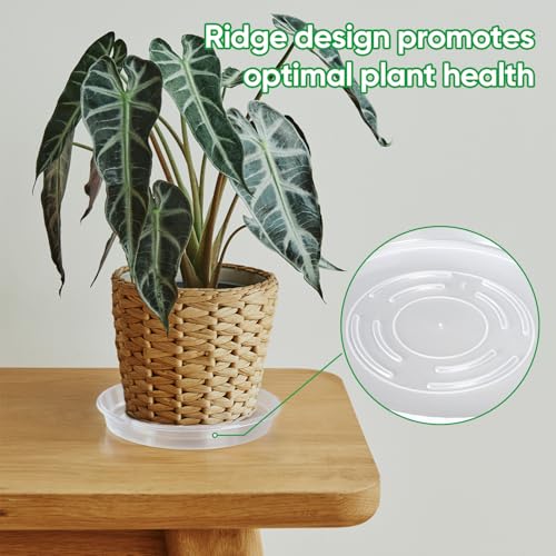 Plant Saucer 10 Pack of 12 inch, Clear Plastic Flower Plant Pot Saucer, Heavy Duty Plant Drip Trays Saucers for Indoor, Plant Water Tray for Planters - size: 12 inch-10 Pack