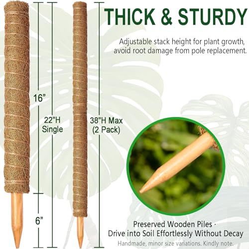 Soupiar 2 Pack 22 Inch Stackable Moss Pole - Thick & Sturdy Natural Coir Totem Plant Support & Garden Stakes for Monstera & Pothos, Indoor Climbing Vining Houseplants, 38" H Max - color: 2 × 22 Inch