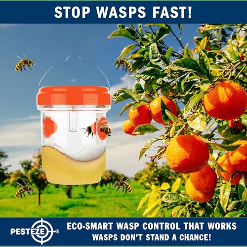 PESTEZE USA 2 Pack Reusable Solar Hanging Wasp Trap with LED Light [Orange, 3.5×4.4 in]–Attracts & Stop Wasps, Hornets, Yellow Jackets & Flying Insects Safely, Waterproof Outdoor Trap