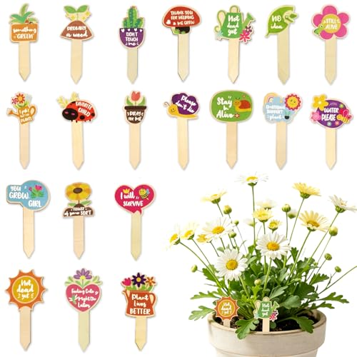 20 Pcs Funny Garden Plant Markers - Sassy Wooden Plant Labels for Indoor Outdoor Potted Plants - Unique Plant Signs Decor Tags - Hilarious Gardening Gifts for Plant Lovers, Women, & Friends - color: Colorful