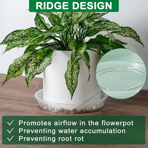 Plant Saucer Tray, 6 Pack 10 Inch Plastic Plant Saucers for Indoor Outdoor - size: 10 INCH