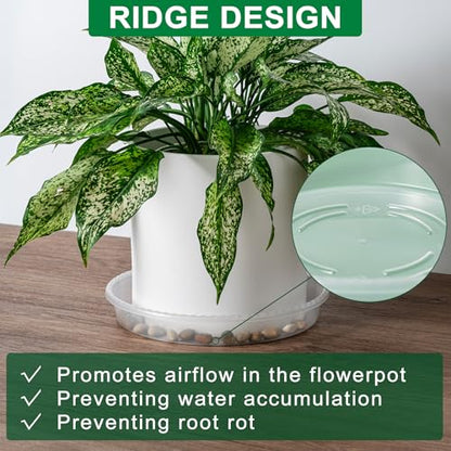 Plant Saucer Tray, 6 Pack 10 Inch Plastic Plant Saucers for Indoor Outdoor - size: 10 INCH
