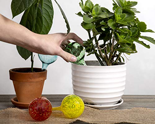 Besti Large Self Watering Globes for Plants (6-Pack) Waters Greenery Up to 2 Weeks Hands Free | Durable, Multicolored Glass Craftsmanship | Indoor and Outdoor Use - Measures 12” x 3.5” - style: Set of 6 large