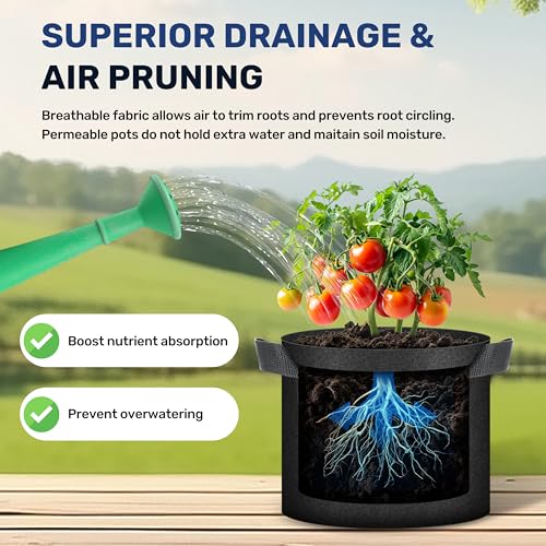Simple Deluxe Grow Bags 5 Gallon 10 Pack Planter Pots with Handles, Thickened Nonwoven Fabric Aeration Cloth Bag, Heavy Duty Gardening for Tomoato, Potato, Vegetable, Herbs and Flowers, Black - color: 10 Pack, size: 5 Gallon 2025Version
