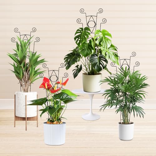 Yhtpouqe Stackable Metal Trellis for Climbing Plants Outdoor & Indoor - 4 Pack Garden Trellis for Potted Plants, Rust-Resistant Plant Support Stakes for Vines, Flowers - Sturdy Plant Trellis - size: 4 Pack