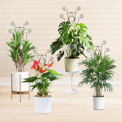 Yhtpouqe Stackable Metal Trellis for Climbing Plants Outdoor & Indoor - 4 Pack Garden Trellis for Potted Plants, Rust-Resistant Plant Support Stakes for Vines, Flowers - Sturdy Plant Trellis - size: 4 Pack