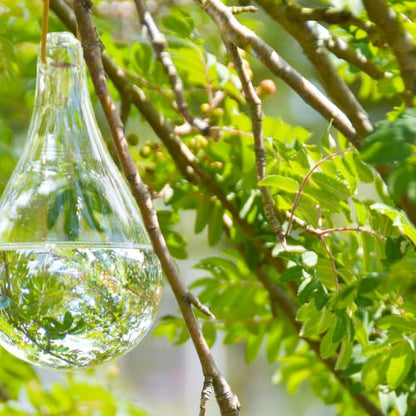 Esschert Design Glass Fly Deterrent