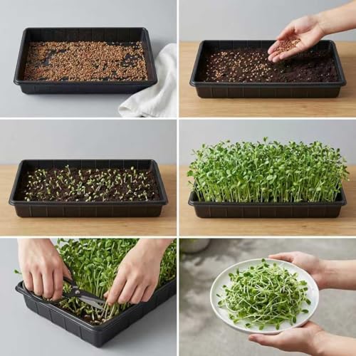 10 Pack Plant Growing Trays, 17 x 11 Inch Seedling Trays, No Drain Holes
