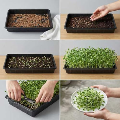 10 Pack Plant Growing Trays, 17 x 11 Inch Seedling Trays, No Drain Holes