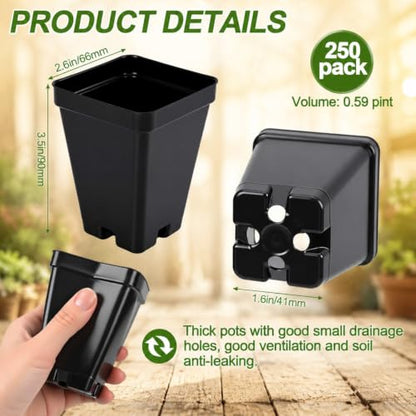 Remerry 250 Pcs Square Nursery Pots 2.63 x 3.5 Inches (D x H) Plastic Seedling Pots with Drainage Holes, Seeds Starter Germination for Plants, Black