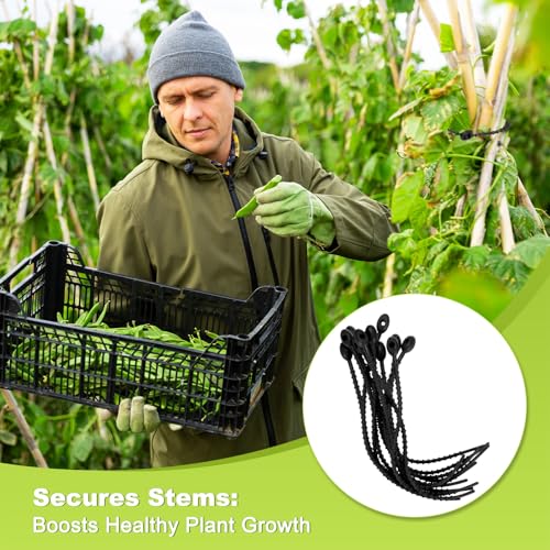 M METERXITY 24-Pack Adjustable Plant Ties, 4.7/5.9/6.7/8.2 Inch Silicone Flexible Multi-Function Garden Twist Tie for Crafts/Gift Wrapping/Gardening Plants, Reusable Support Twine [Black] - color: Black